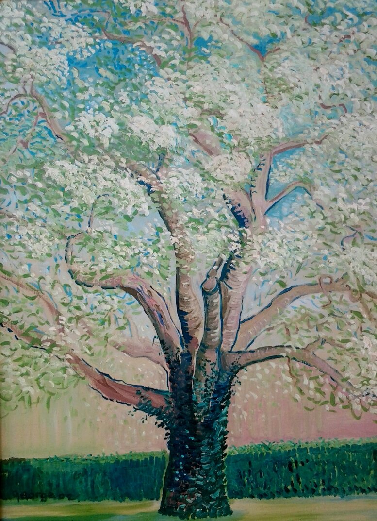 Pear Tree in Blossom