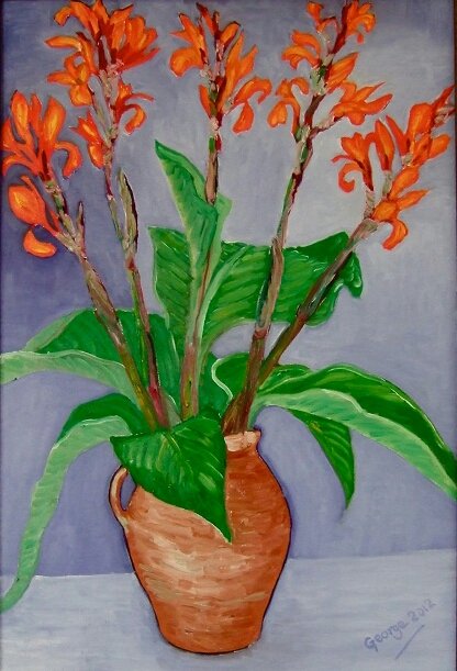 Cannas Grey Background