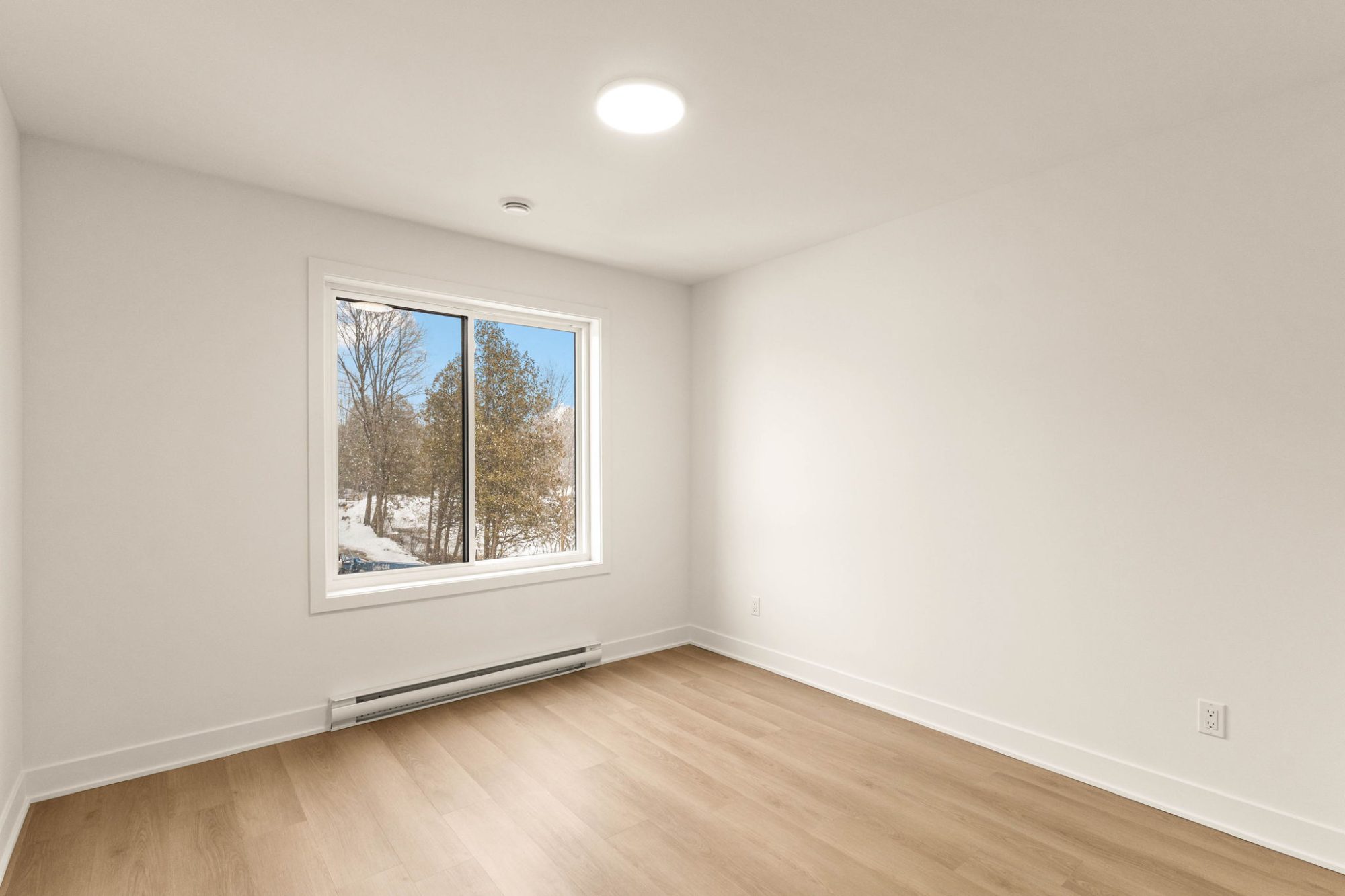 NEW 5 1/2 For Rent photo