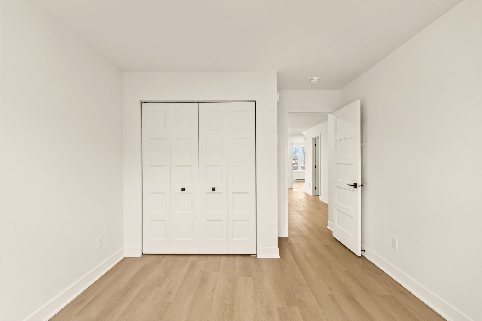 NEW 5 1/2 For Rent photo