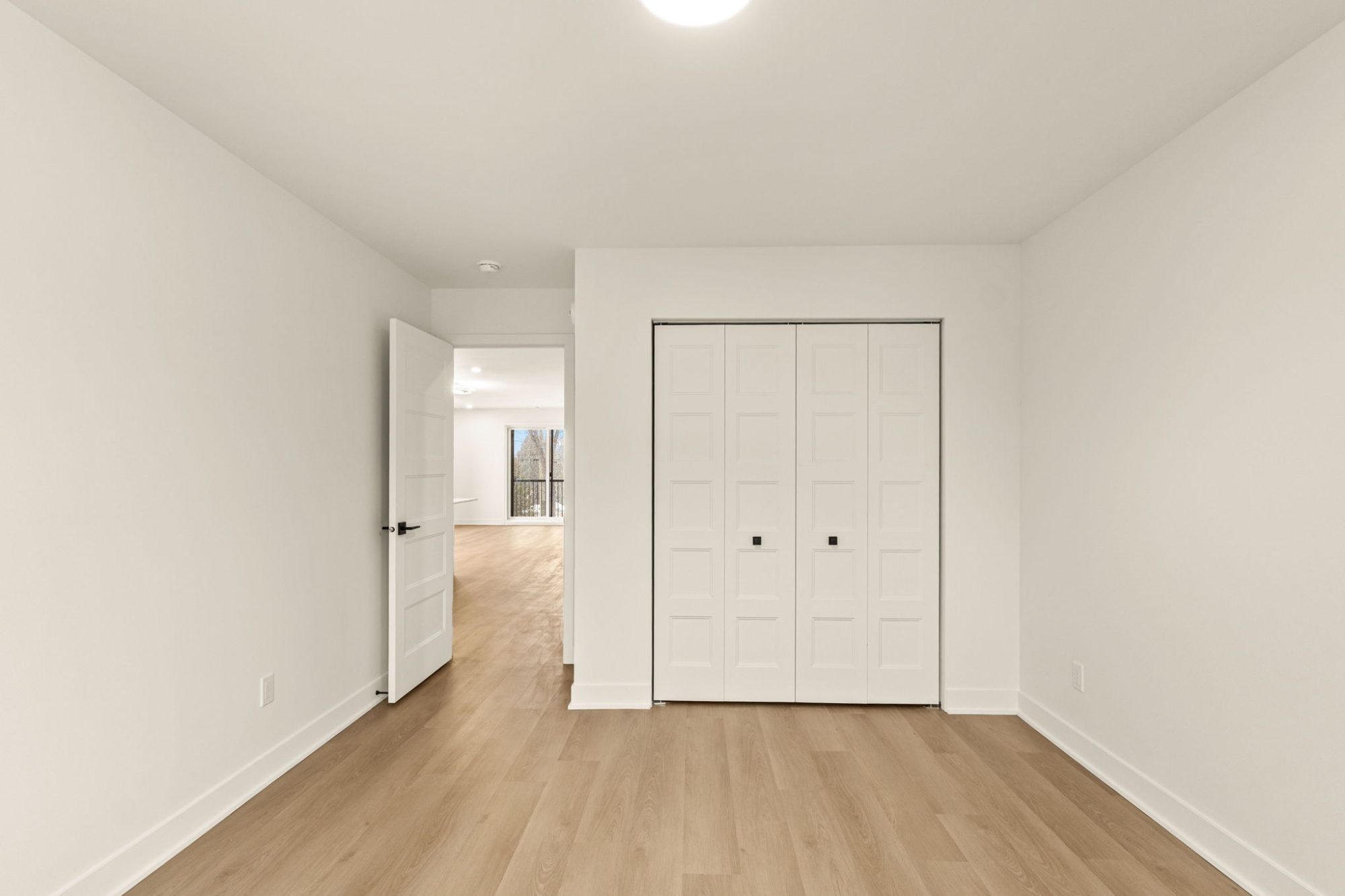 NEW 5 1/2 For Rent photo