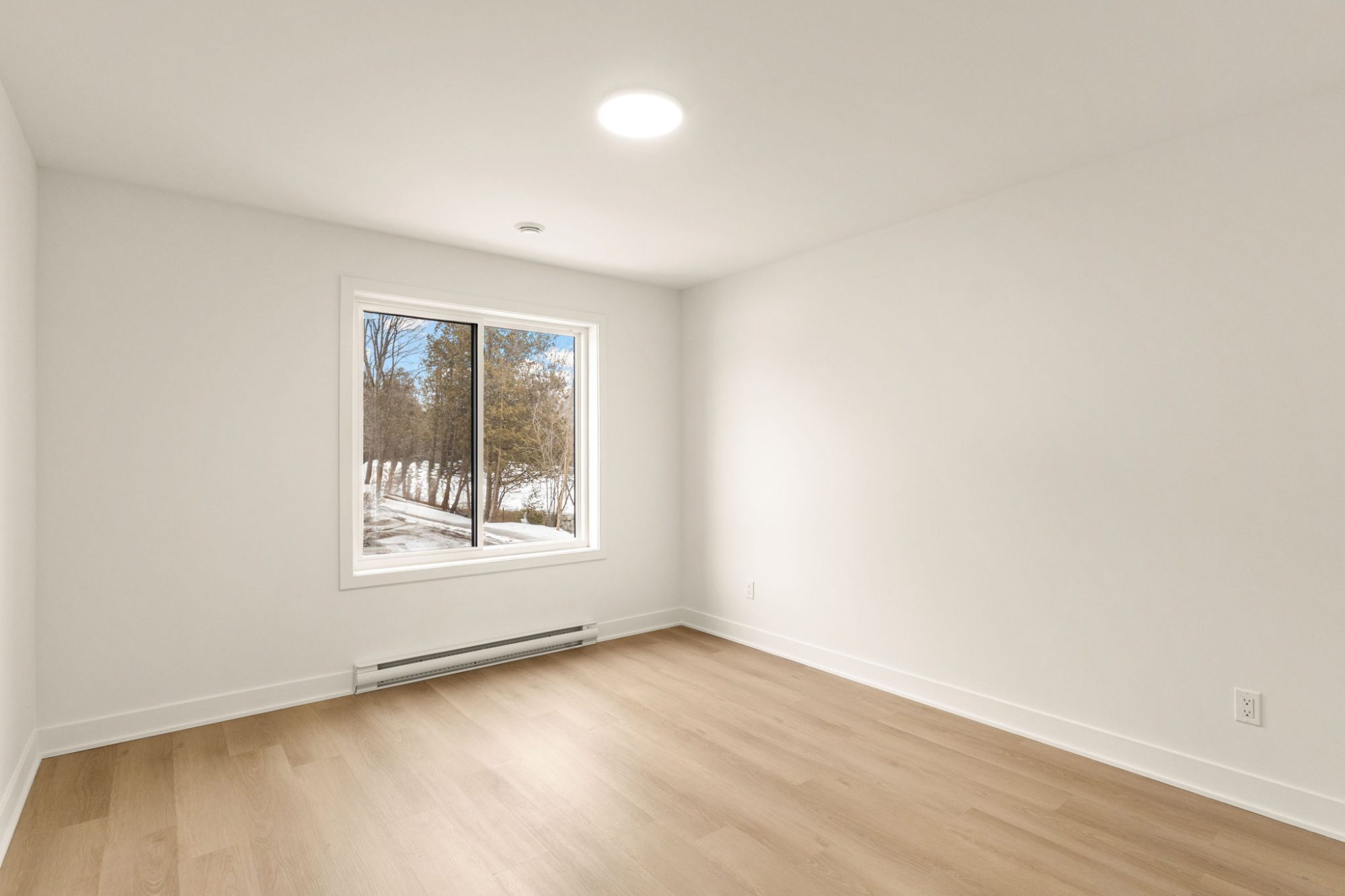 NEW 4 1/2 For Rent photo