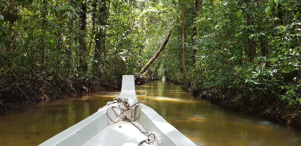 Passeio ao Rio Gelado