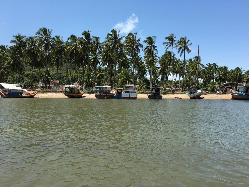 Eco Boat Passeios Ecológicos (Agência)