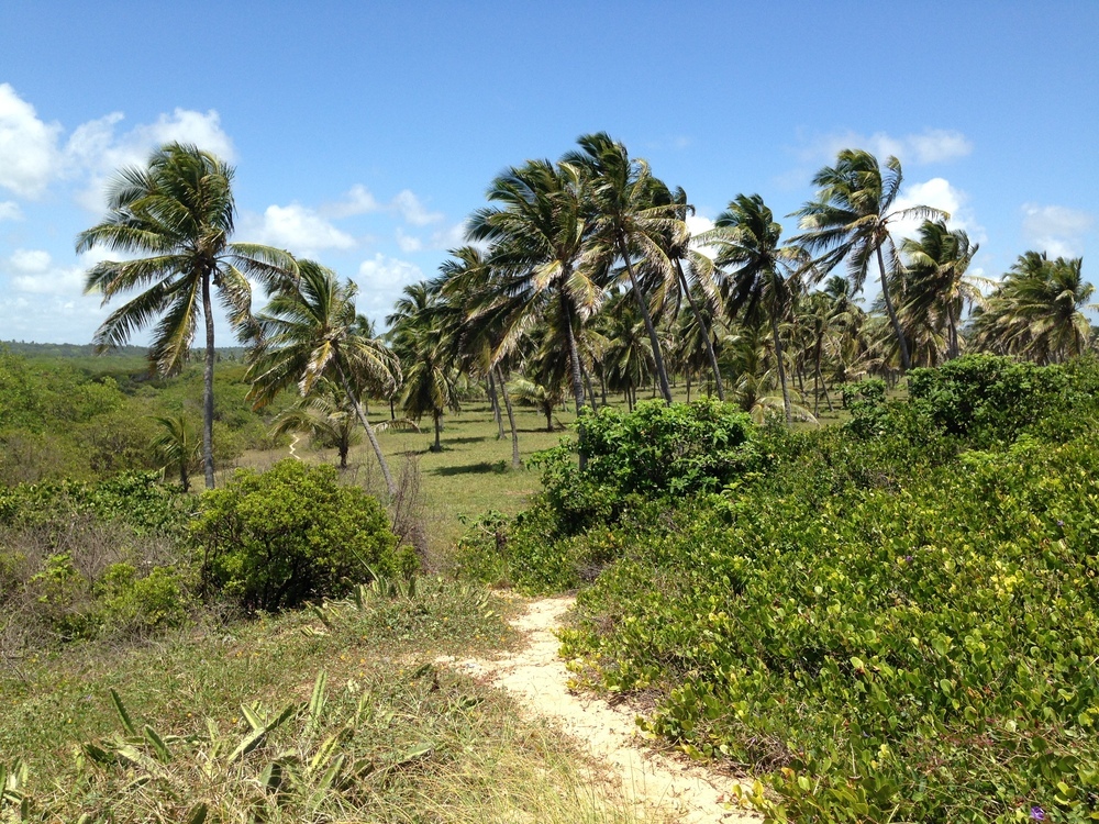 Povoado Duas Barras (Encontro da Lagoa com o Mar) - foto 3