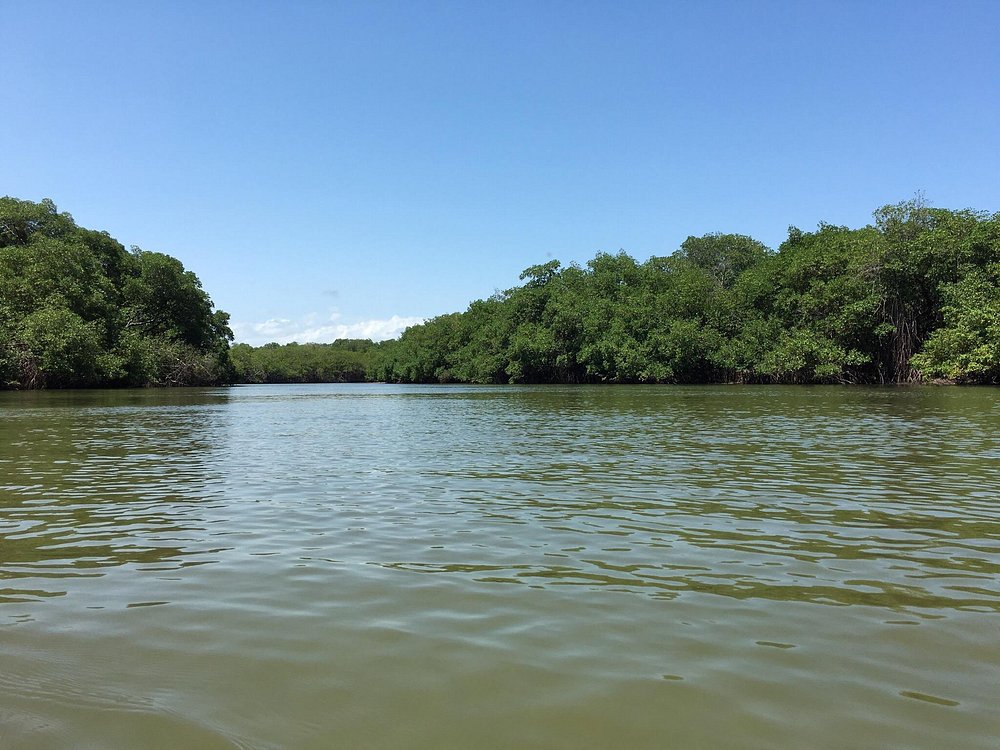 Passeios de barco na Lagoa de Jequiá - foto 3