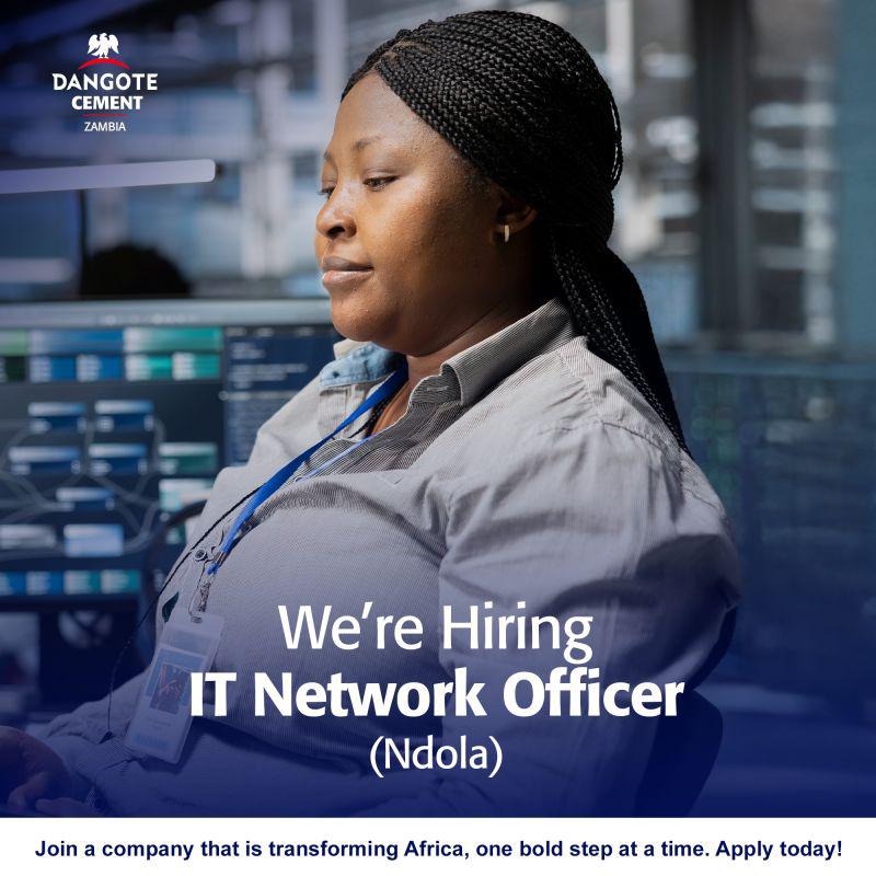 IT Network Officer visual