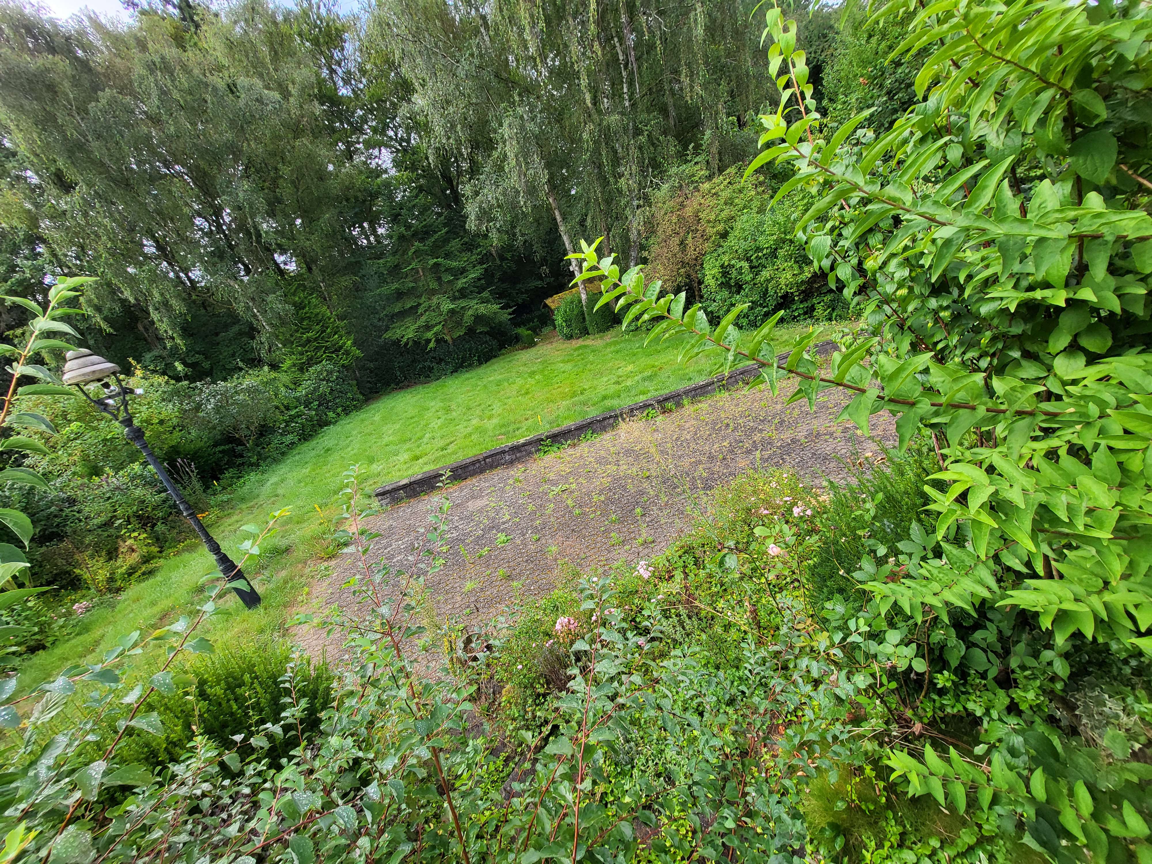 Rasen mähen ca. 170 m2