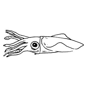 Maiden Lane logo