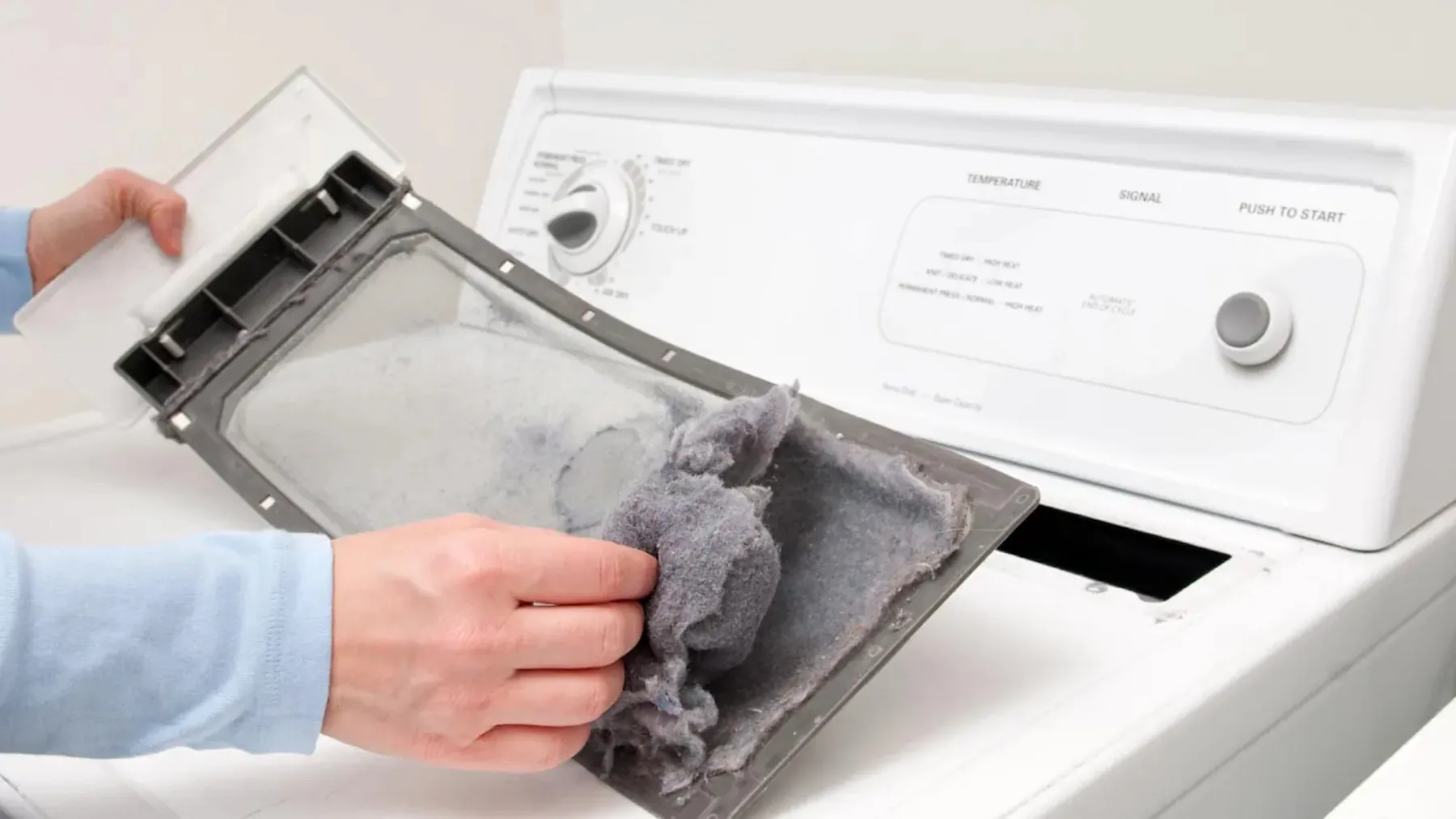 Lint from a dryer trap — synthetic clothing sheds plastic microfibers that wash into the wastewater stream