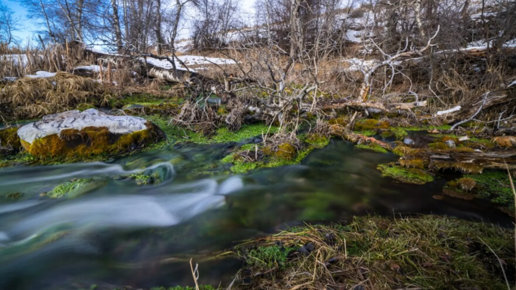 A small stream winding through wetlands — the kind of waterway whose federal protection hinges on the WOTUS definition