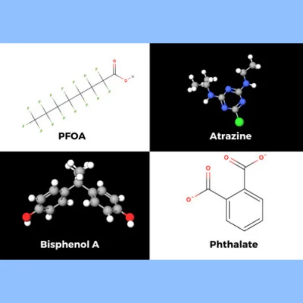 Molecular diagrams of common endocrine-disrupting chemicals such as BPA, phthalates, and PFAS