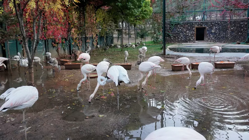 Gaziantep Zoo