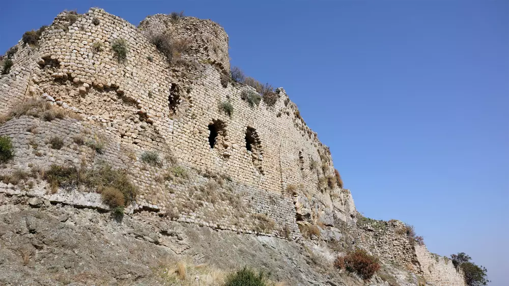 Bakras Castle