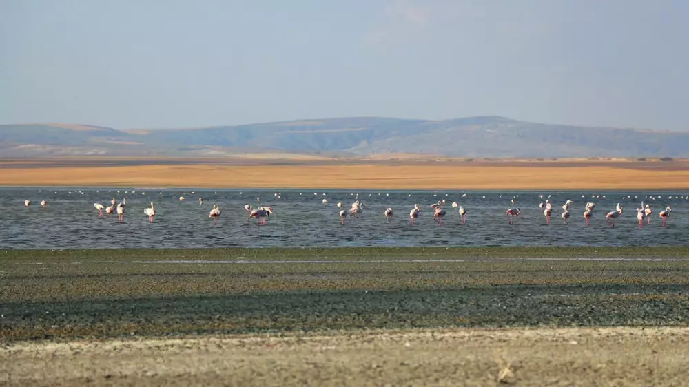 Озеро Кулу.