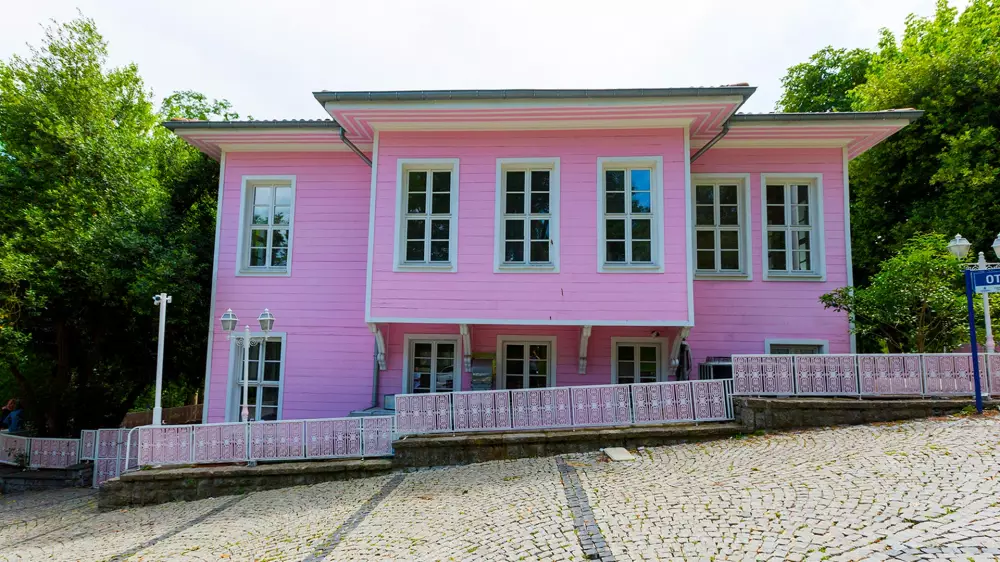The Pink Mansion