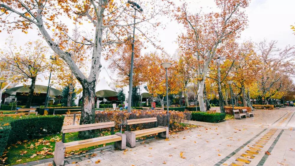 Gençlik Parkı