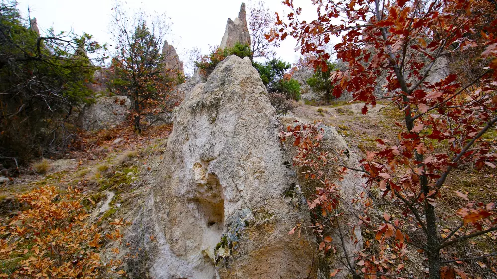 Камины Фей Абаджи