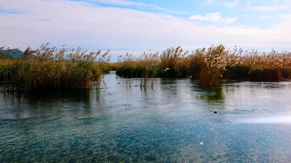 Azmak Nehri