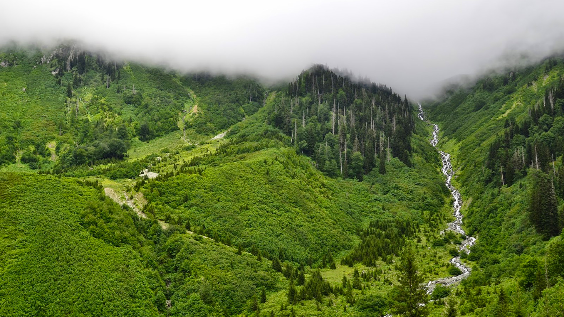 Плато Гëргит