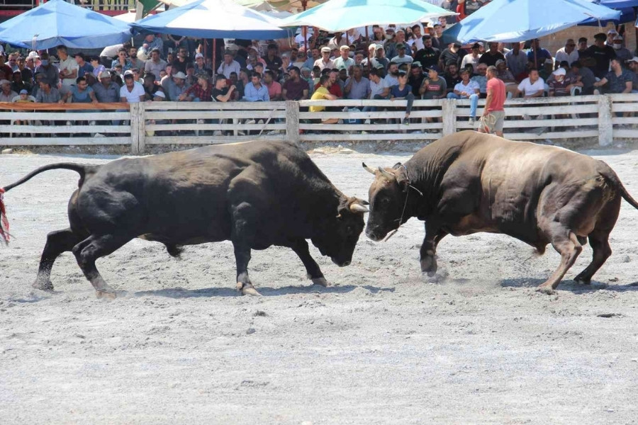 44. Kafkasör Kültür ve Turizm Festivali Başladı