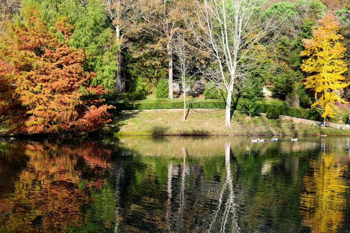 Atatürk Arboretumu