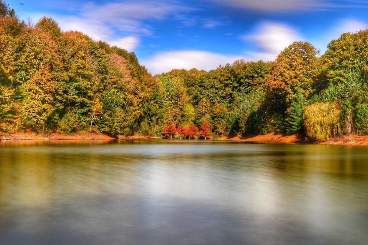 Atatürk Arboretumu