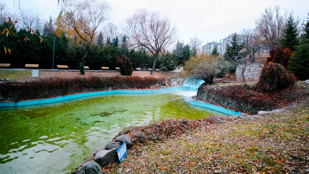 Cemre Park