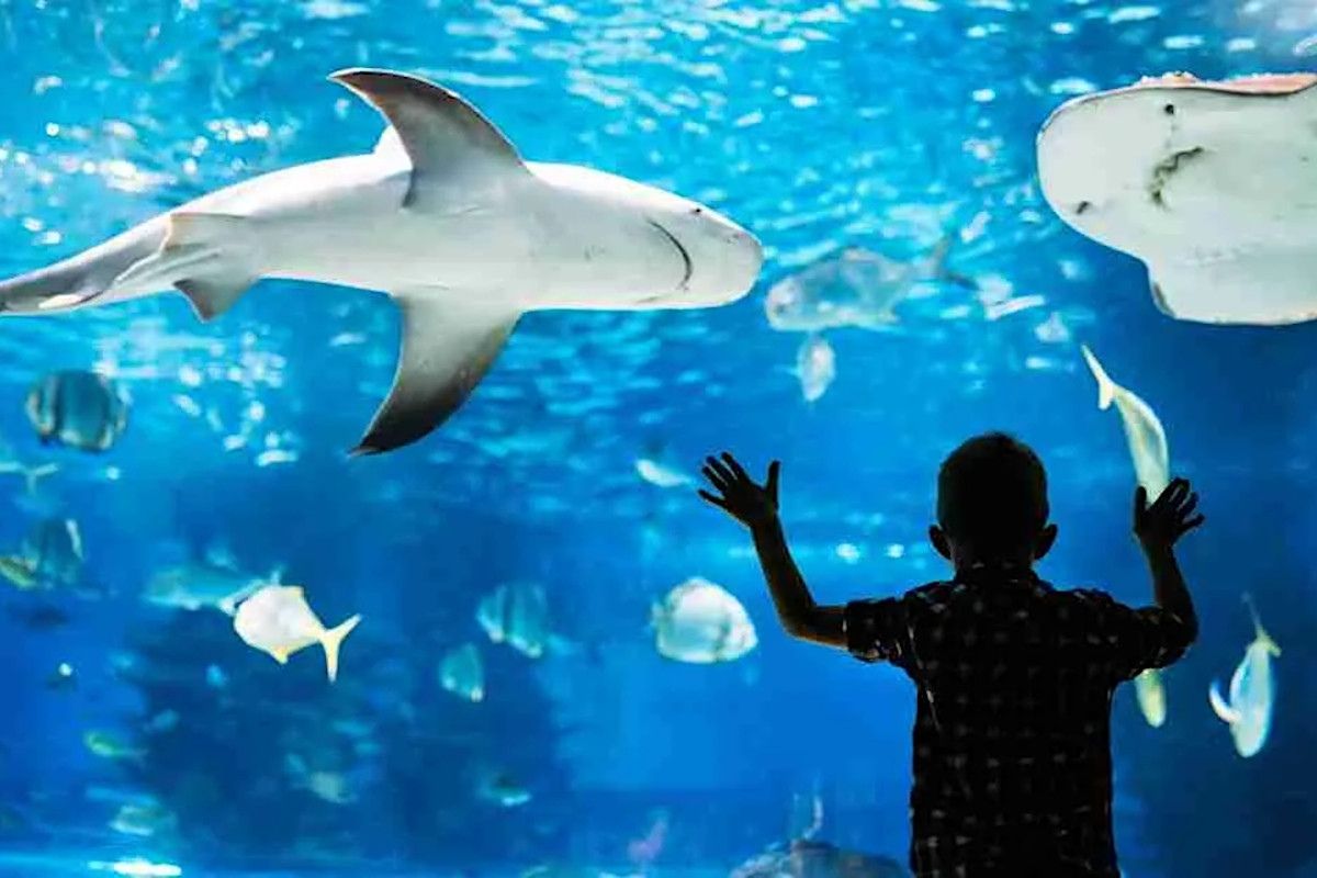 Pariser Aquarium