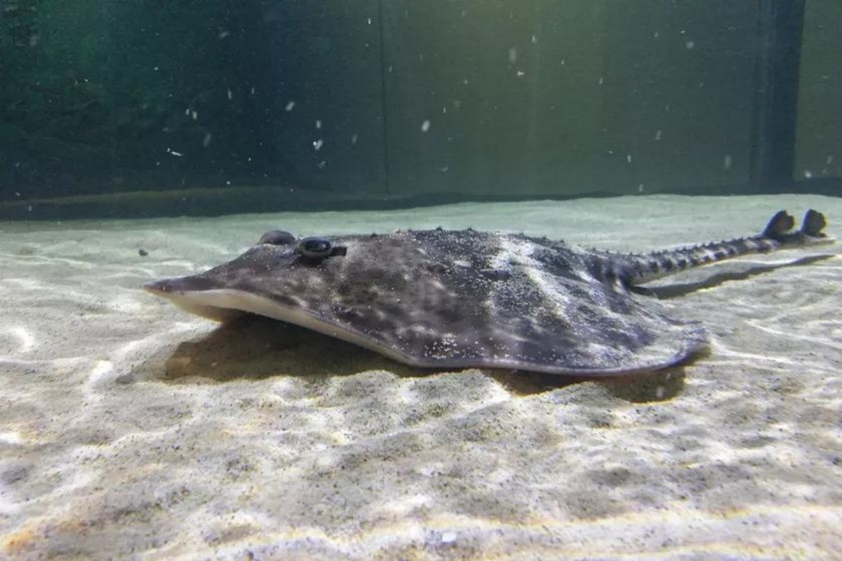 АкваДом и SEA LIFE Берлин