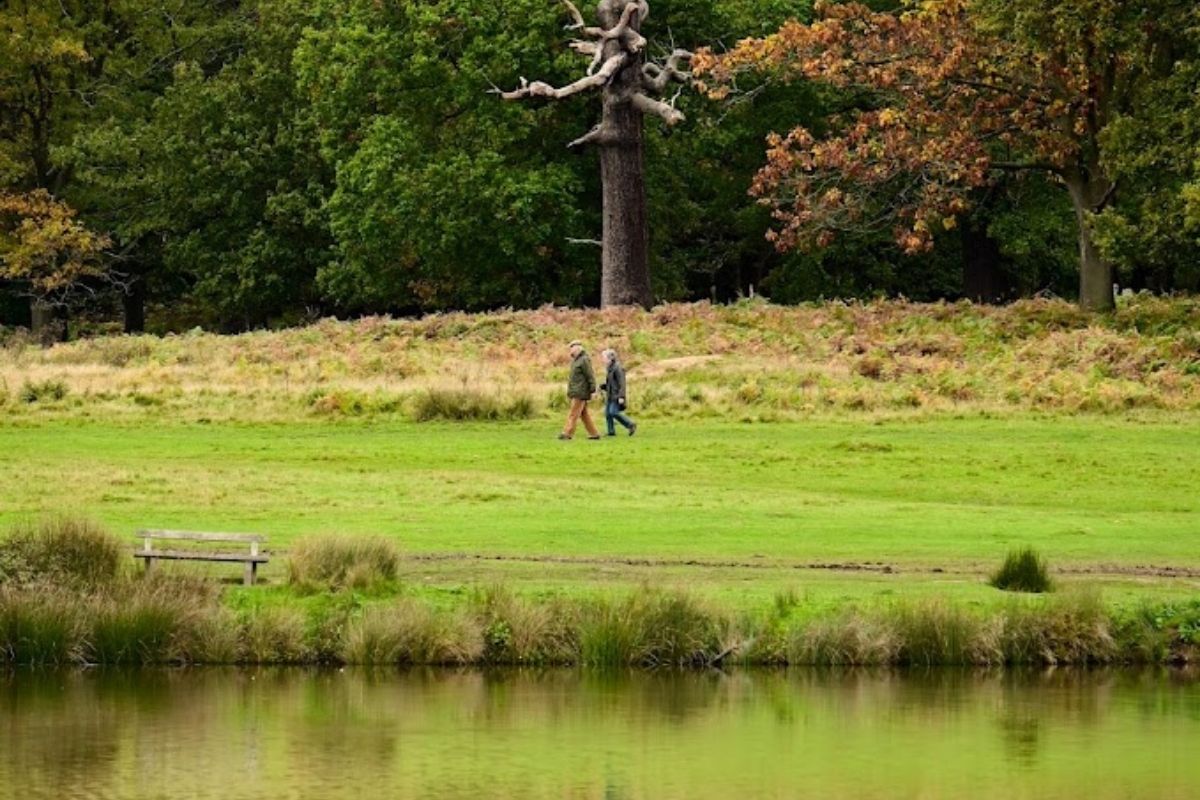 Richmond Park