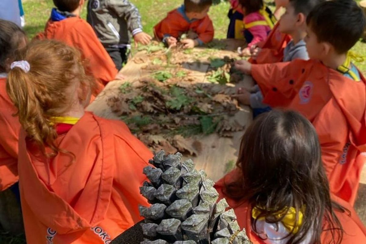 Otto Soil School
