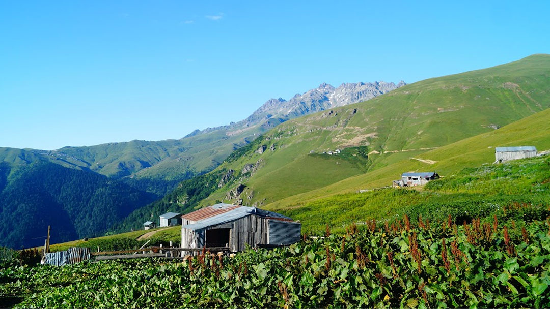 İrsa Plateau