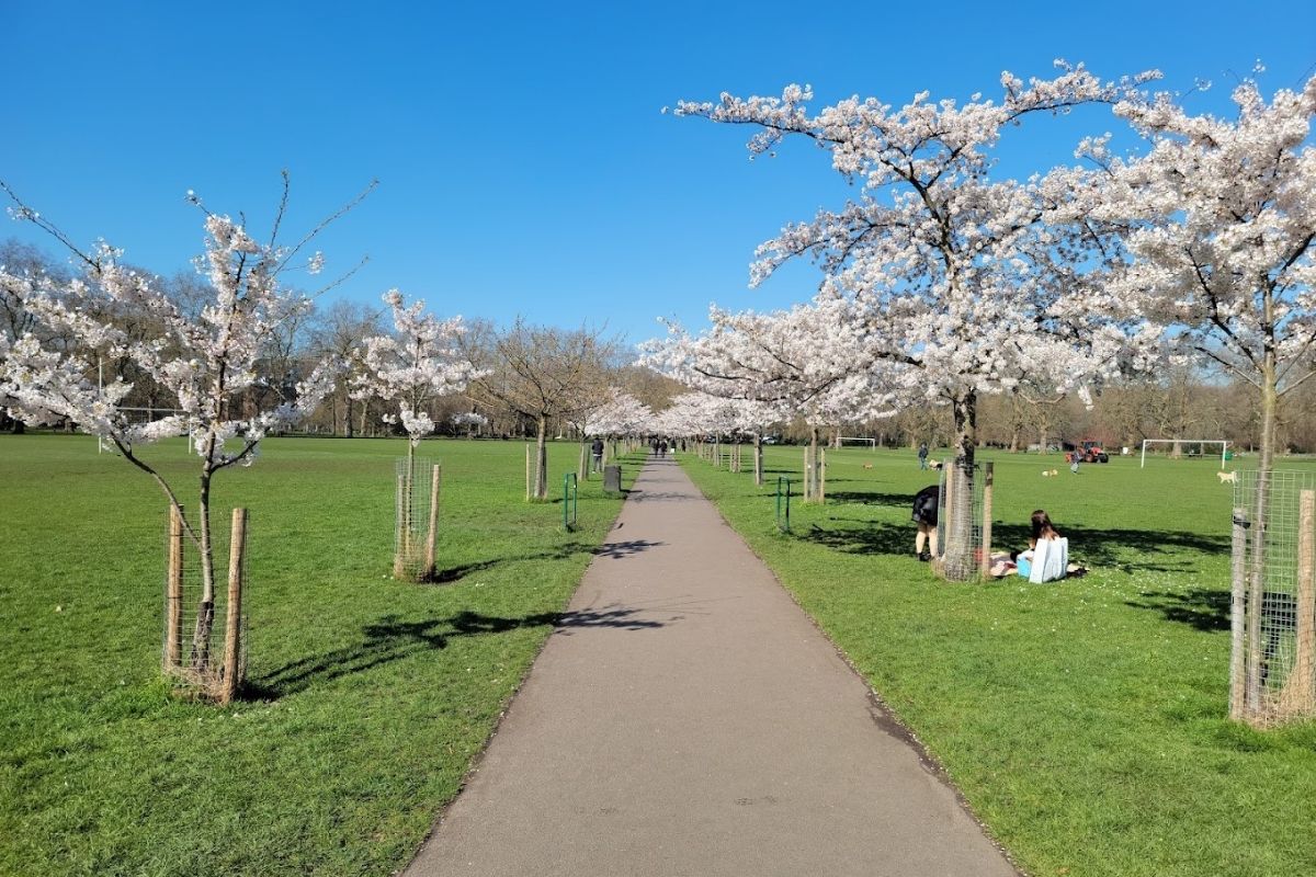 Battersea Park