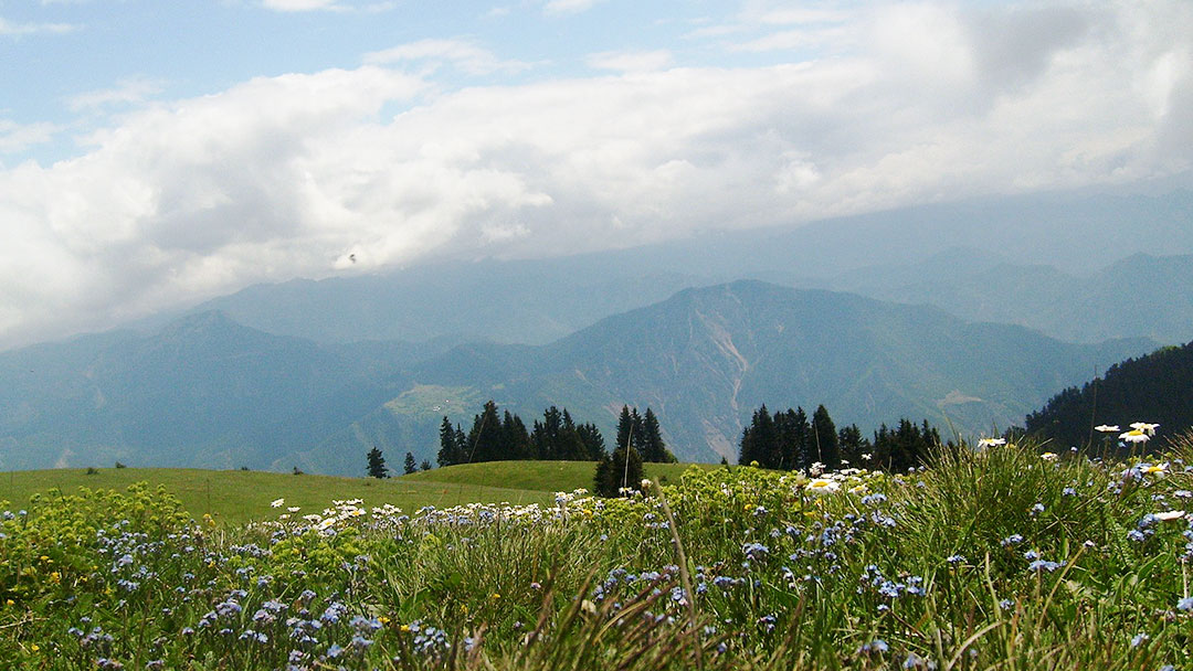 Arsiyan Yaylası