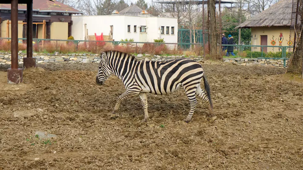 Der Bursa Zoo