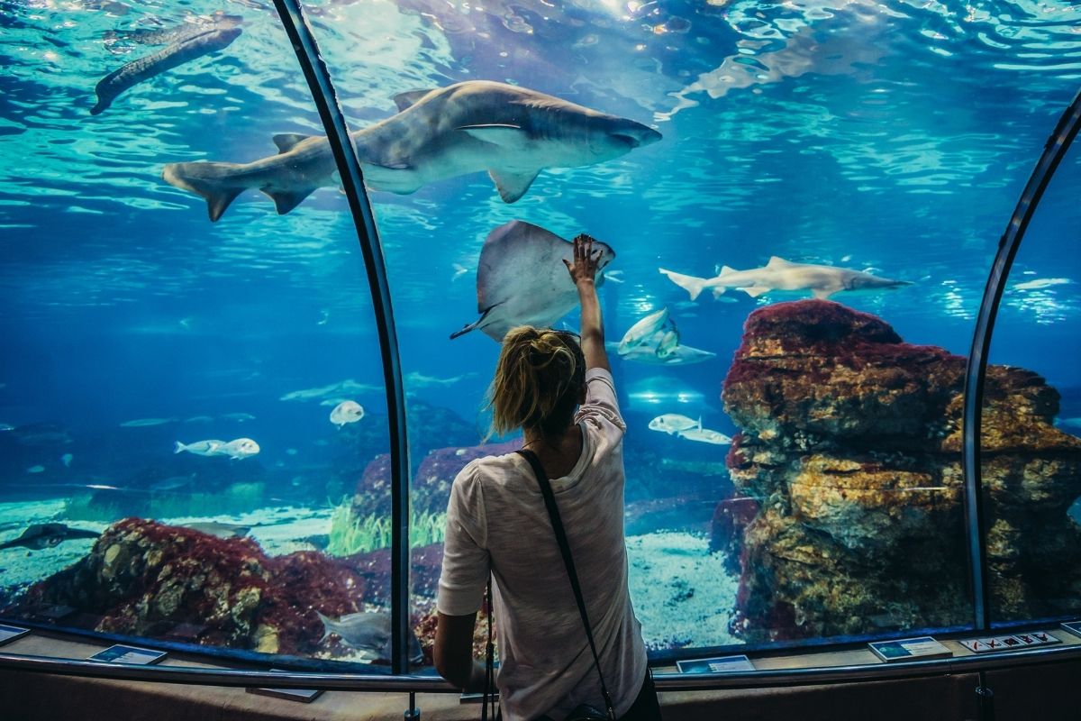 Das Aquarium Barcelona