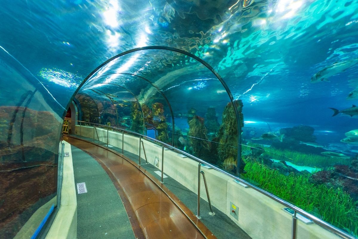 Das Aquarium Barcelona