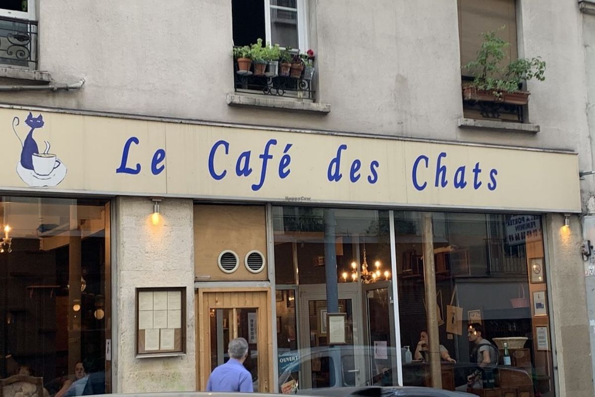 Le Café des Chats