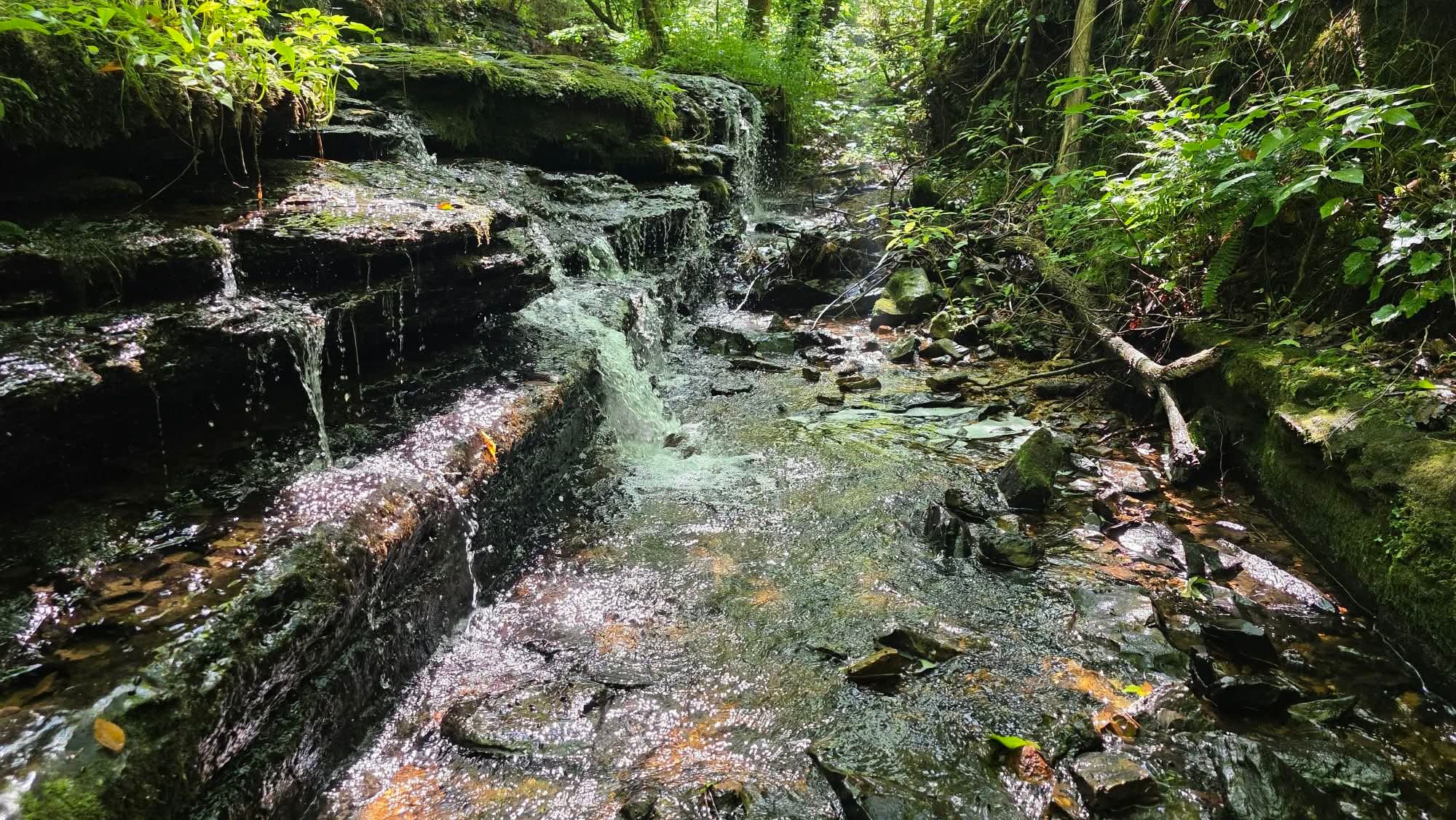 Whispering Oaks photo 2