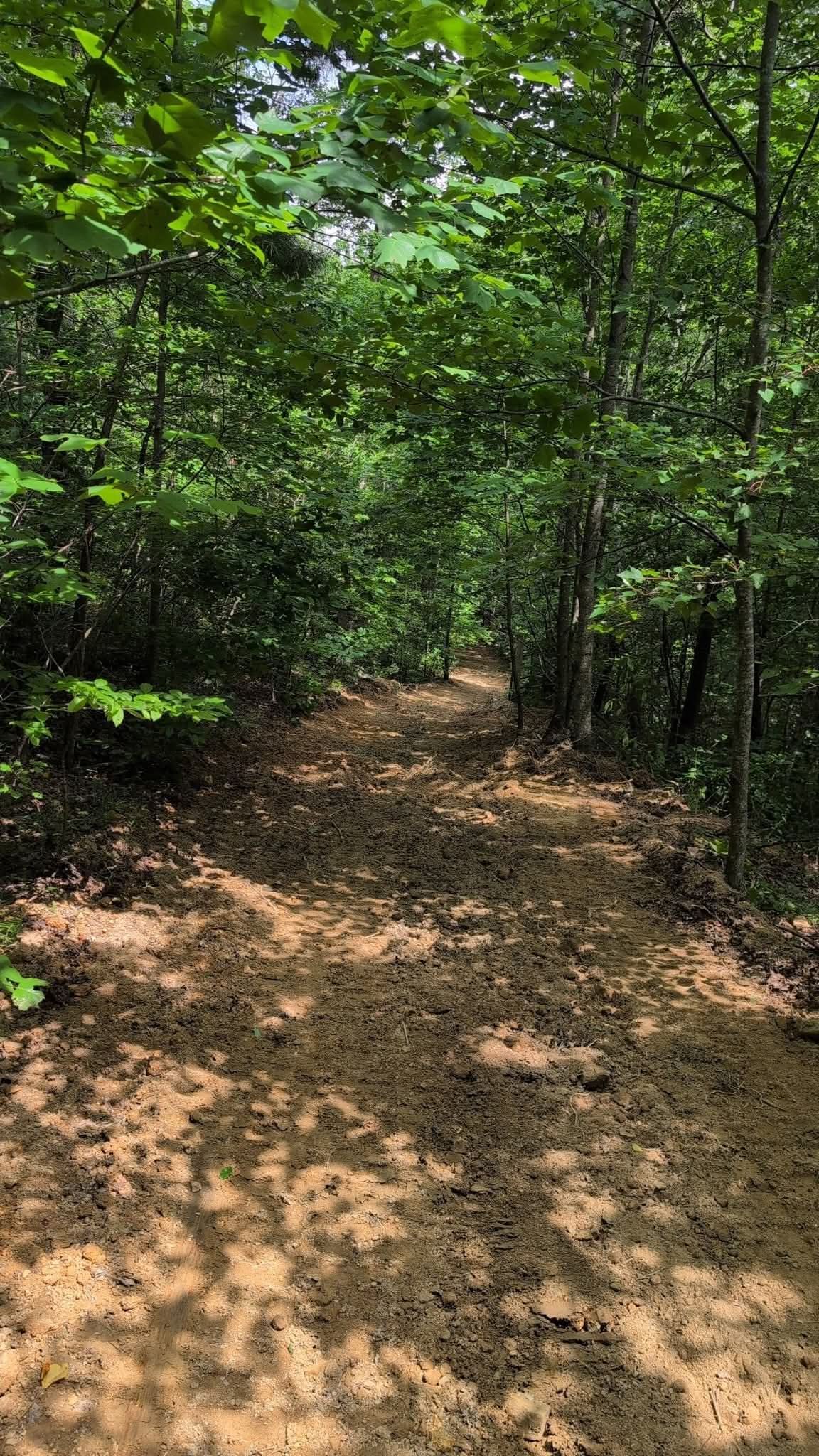 Whispering Oaks photo 5