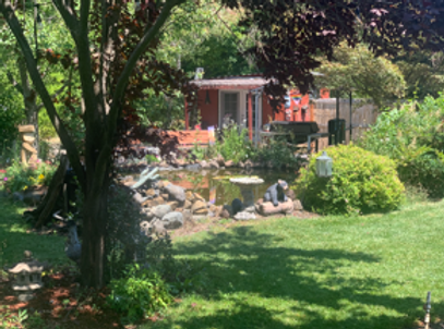 Bamboo Acres photo 3