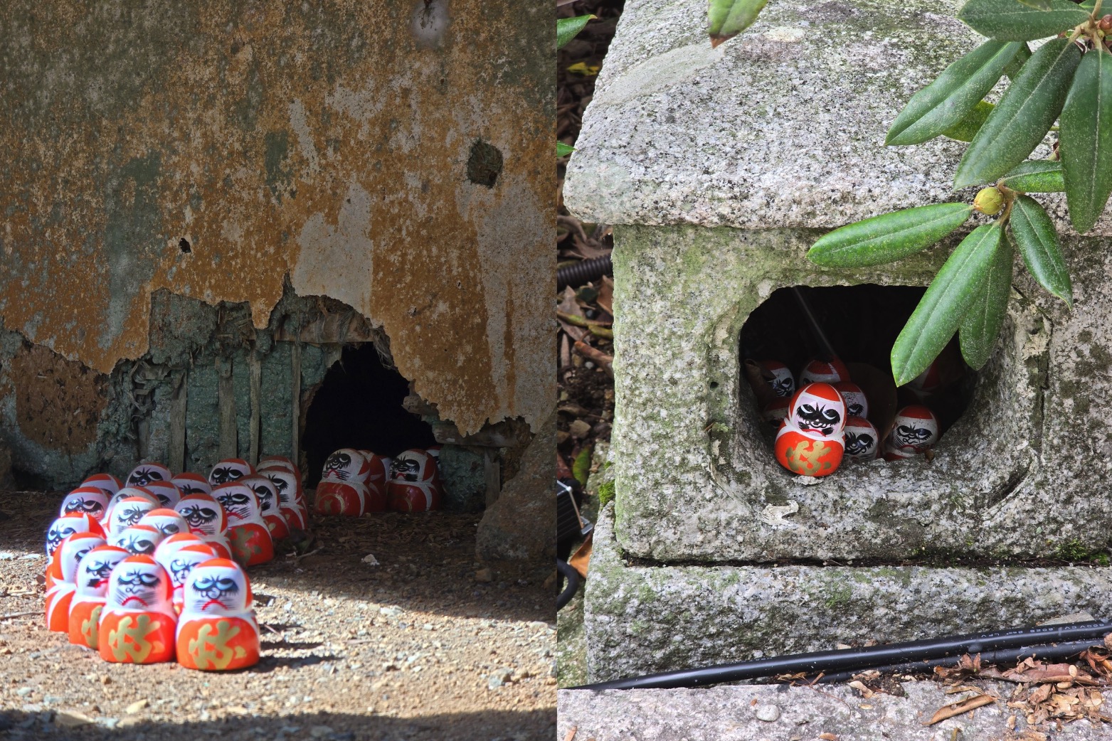 勝尾寺 - 在地板下老鼠洞的達摩 (左)、躲石燈籠的達摩 (右)