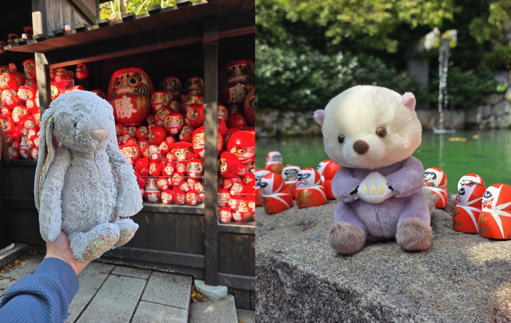 勝尾寺 - 大耳朵 (左) 與 Toba (右)