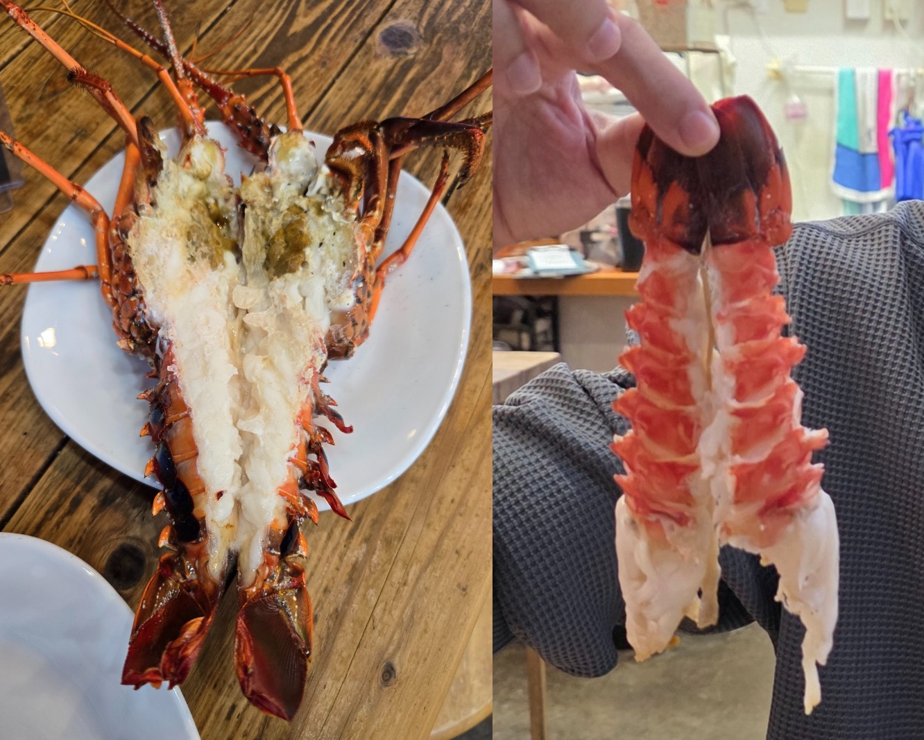 The Kaiya - 烤伊勢龍蝦