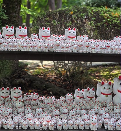 豪徳寺招福殿 - 招福貓大軍