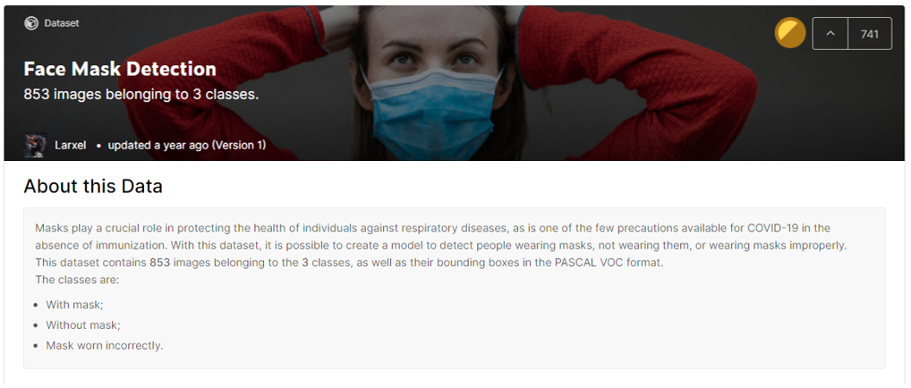 Face Mask Detection Cover