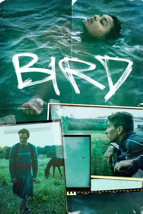 Locandina di Bird (2024)