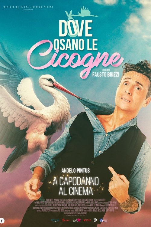 Locandina di Dove osano le cicogne (2025)