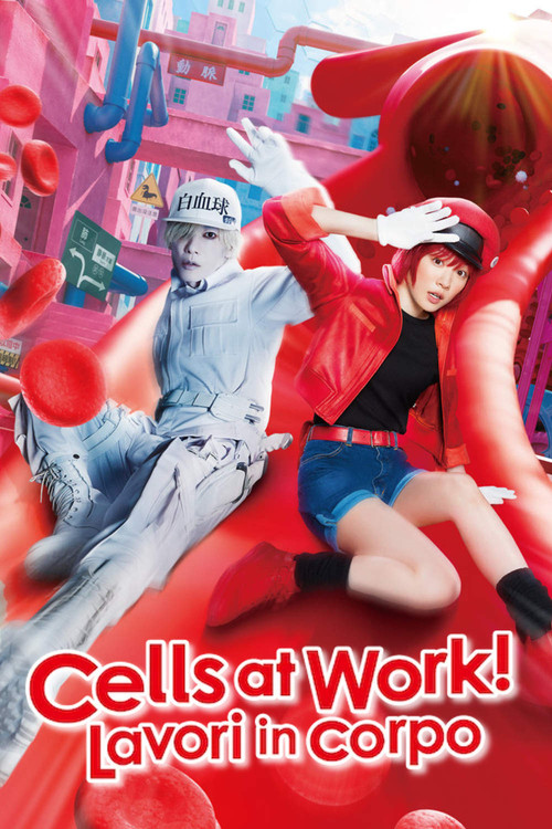Locandina di Cells at Work! - Lavori in corpo (2024)